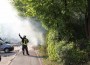 Feuer in Fritz-Erlersiedlung: 60 qm Buschwerk in Flammen