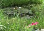 20110620-PM-Hinter-meiner-H