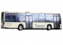 trnsdbus
