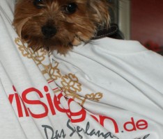 wirsiegen2