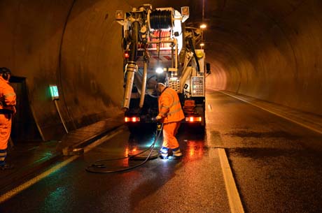 Ziegen-Tunnel32 Ziegen-Tunnel32