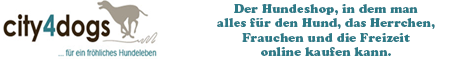 Matthias Giffhorn kandidiert für Bürgermeisteramt Matthias Giffhorn kandidiert für Bürgermeisteramt