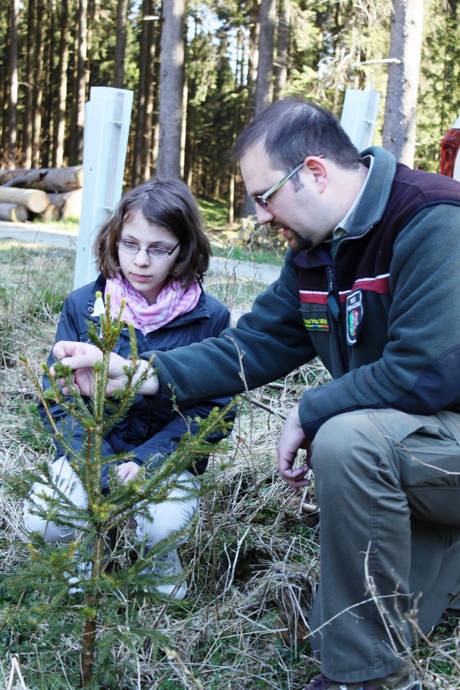 Christian Hahne kontrolliert mit Tine eine Kulturfläche. (Foto: Christa Vitt-Lechtenberg, Wald und Holz NRW)