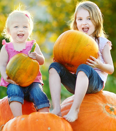 „Wer züchtet“ den schwersten und größten Kürbis“ heißt es in den kommenden Wochen und Monaten, wenn elf Kindertagestätten aus Burbach und Hilchenbach gegeneinander antreten. (Foto: MNStudio/Fotolia)