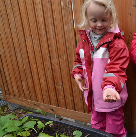 2015-06-11_Kürbiswettbewerb in den Kindertagesstätten Burbach und Hilchenbach_Foto_Stadt Hilchenbach_01