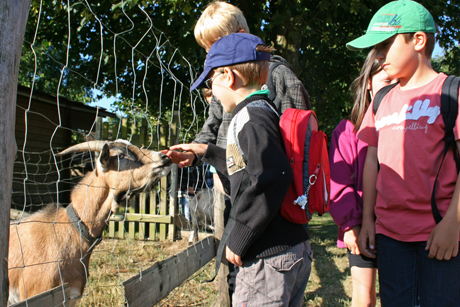 Die Kinder in der Wilnsdorfer Ferienbetreuung statteten dem Birkenhof einen Besuch ab. Foto: Gemeinde