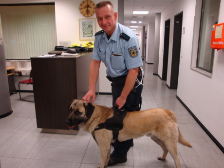 Ein Bundespolizist mit entlaufenem Hund "Reis". Der Vierbeiner reiste ohne Besitzer von Siegen bis Siegburg. Foto:  Bundespolizeidirektion Sankt Augustin