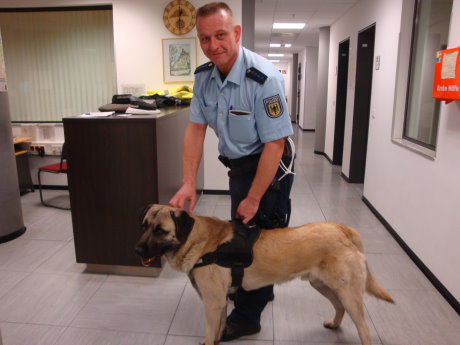 Ein Bundespolizist mit entlaufenem Hund "Reis". Der Vierbeiner reiste ohne Besitzer von Siegen bis Siegburg. Foto: Bundespolizeidirektion Sankt Augustin