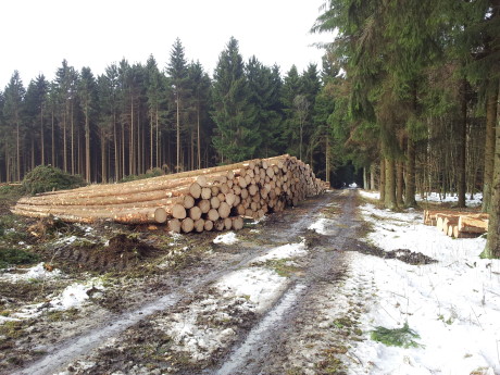 Die Hiebsmaßnahmen zur Erschließung des interkommunalen Gewerbegebietes Rübgarten II in der Nähe des Siegerland-Flughafens haben begonnen. Foto: Gemeinde