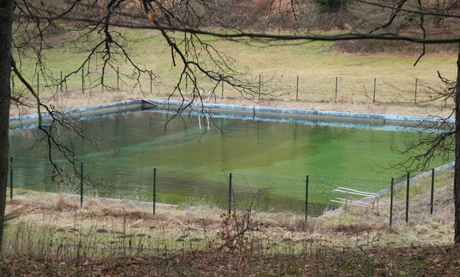 Erlenweiher Burbach