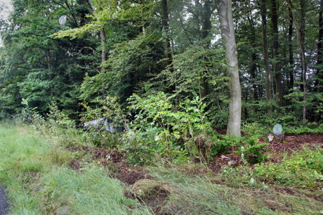 2014-08-15_Eremitage_B54_Pkw_gegen_Baum_4
