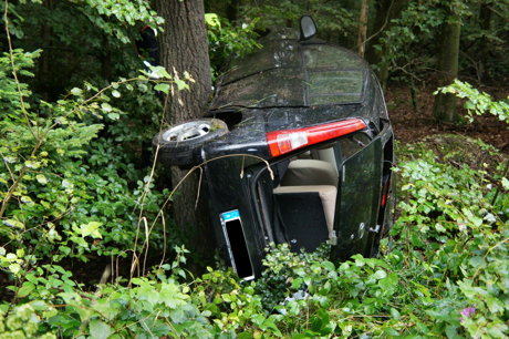2014-08-15_Eremitage_B54_Pkw_gegen_Baum_8