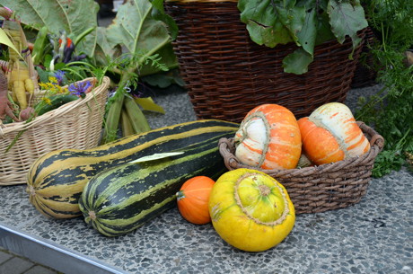 2014-09-15_Alchen_Backesfest_und_Tag_der_Natur_Foto_Schade_4