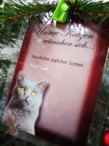 2014-12-07_Siegen_Tierheim_Offener_Sonntag_Foto_Peter_Kampmann_02