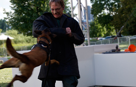 Symbolfoto Festnahme durch Polizeihund | Foto: © Tomas Moll