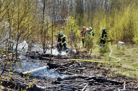 2015-04-18_Wilnsdorf-Rinsdorf_Wald2_Waldbrand_Am_Aelkersberg_Foto_Hercher_12