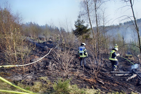 2015-04-18_Wilnsdorf-Rinsdorf_Wald2_Waldbrand_Am_Aelkersberg_Foto_Hercher_13