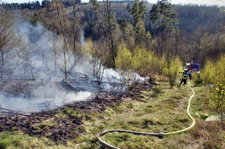 2015-04-18_Wilnsdorf-Rinsdorf_Wald2_Waldbrand_Am_Aelkersberg_Foto_Hercher_3