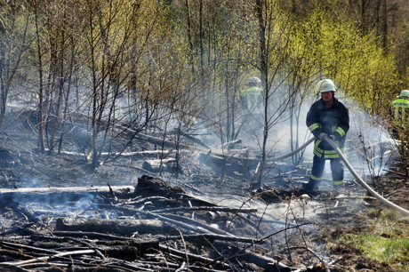 2015-04-18_Wilnsdorf-Rinsdorf_Wald2_Waldbrand_Am_Aelkersberg_Foto_Hercher_8