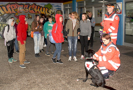 DRK-Rettungshund Tara stand jetzt im Mittelpunkt der Hunde AG an der Gesamtschule Freudenberg. (Foto: DRK)