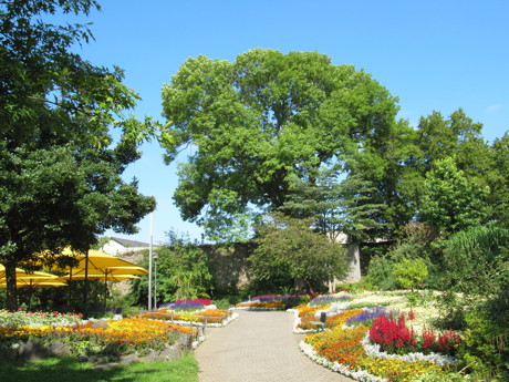 „Siegen blüht auf“ am Tag der Gärten und Parks. (Foto: Stadt Siegen)