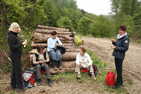 12. Hilchenbacher Frauenwanderung im Mai 2015 | Foto: Stadt Hilchenbach