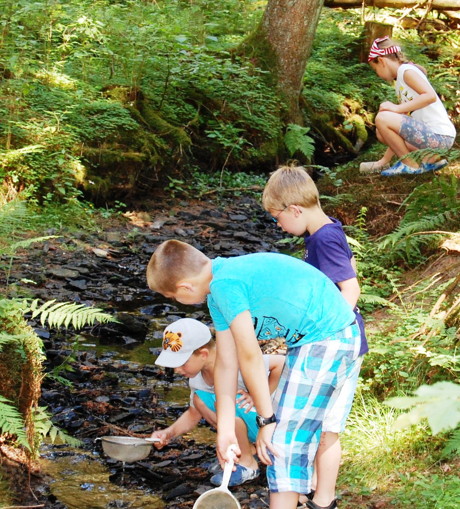 Bei der Bacherkundung in Trupbachschauten sich die Kinder einmal genauer an, welche Tiere sich im Wasser tummeln. (Foto: Stadt Siegen)