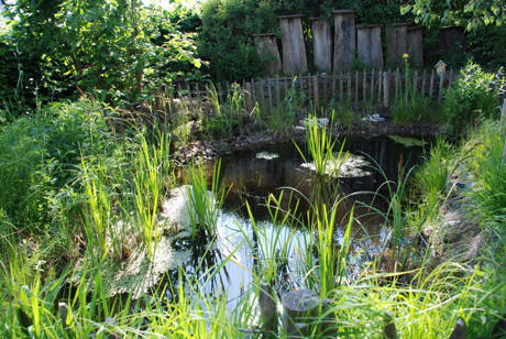 Damit der eigene Gartenteich im Sommer ein Ort der Erholung bleibt, hat die Umweltabteilung einige Tipps zusammengestellt. (Foto: Stadt Siegen)