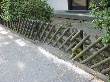 Streusalz, das auf befestigten Flächen zur Wildkräuterbekämpfung genutzt wird, führt zu Problemen in Kanalisation und Kläranlagen. (Foto: Stadt Siegen)