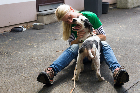 2015-07-21_Siegen_Tierheim_Hund Peter_Foto_Micha1