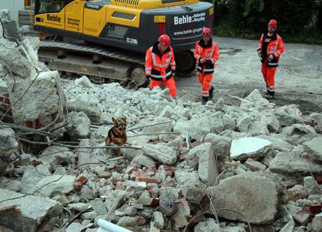 Rettungshundestaffel Südwestfalen-Attendorn (11)