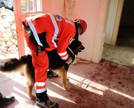 Rettungshundestaffel Südwestfalen-Attendorn (2)