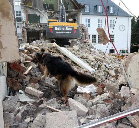 Rettungshundestaffel Südwestfalen-Attendorn (3)