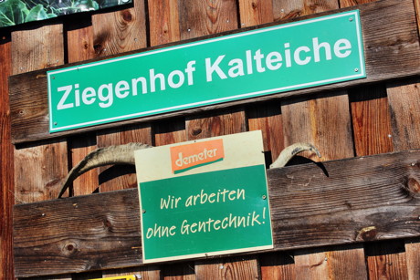 2015-08-30_Wilnsdorf-Wilgersdorf_Eröffnung Aktionstage Ökolandbau NRW_Foto_Hercher_1