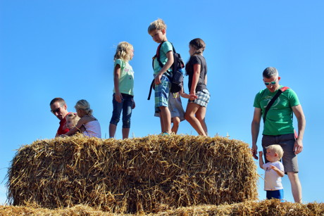 2015-08-30_Wilnsdorf-Wilgersdorf_Eröffnung Aktionstage Ökolandbau NRW_Foto_Hercher_6