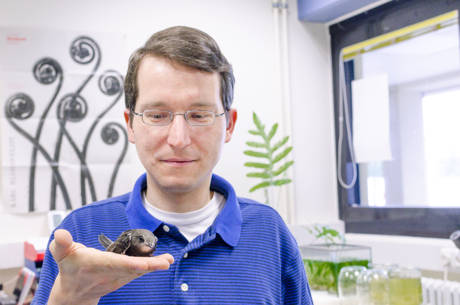 Doktorand Arndt Wellbrock mit einem jungen Mauersegler. (Foto: Universität Siegen/Björn Bowinkelmann)