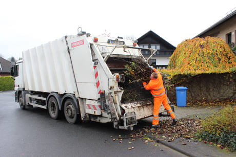 Grundstückseigentümer können im Herbst eine Astschnittabfuhr der Gemeinde Wilnsdorf nutzen. (Foto: Gemeinde Wilnsdorf)