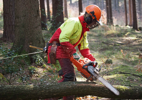 (Foto: Christina Vitt Lichtenberg