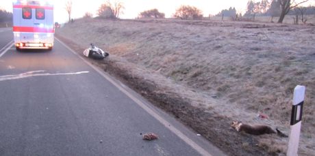 Bei einem Wildunfall wurden ein Motorradfahrer und sein Sozius leicht verletzt. Foto: Polizei