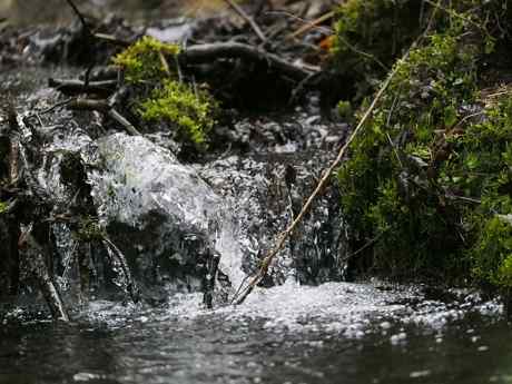 Foto: Wald und Holz NRW