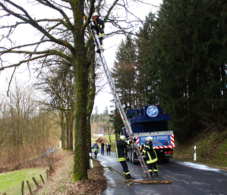 2016-03-30_Friesenhagen_Vu_Lkw_Brand_(c)_Mg (39)