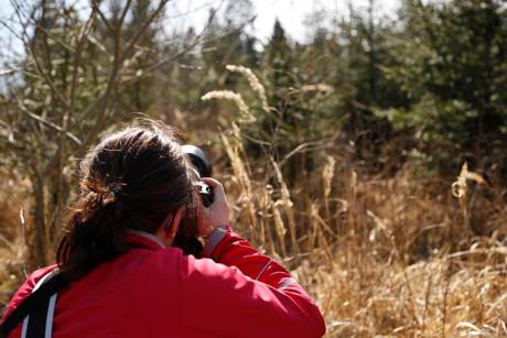 Die Fotowanderung mit Fotograf Benjamin Hein findet am 17. April statt. Foto: Stadtverwaltung