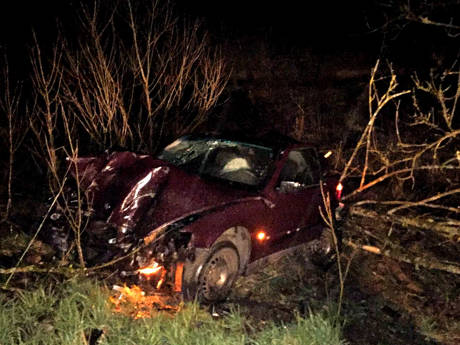 2016-04-07_Würgendorf_L531_Hirsch angefahren_BMW im Grben_Foto_privat