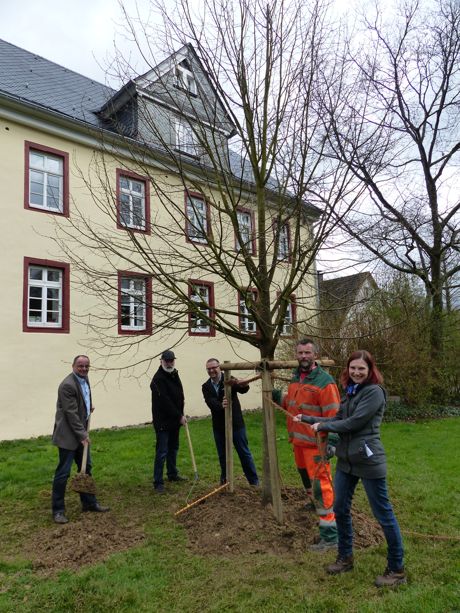 Die Winterlinde wurde auf der Gerichtswiese gepflanzt. Foto: Stadtverwaltung