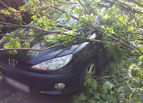 2016-05-12-Eiserntalstraße-Baum-umgekippt-Leserfoto2