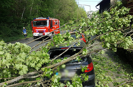 2016-05-12-Eiserntalstraße-Baum-umgekippt-Leserfoto3