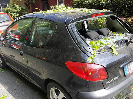 2016-05-12-Eiserntalstraße-Baum-umgekippt-Leserfoto4