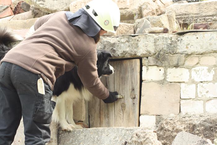 Border Collie „Chap“ hat Hundeführerin Monika Münker zu der Stelle geführt, an der er die Versteckperson entdeckt hat.