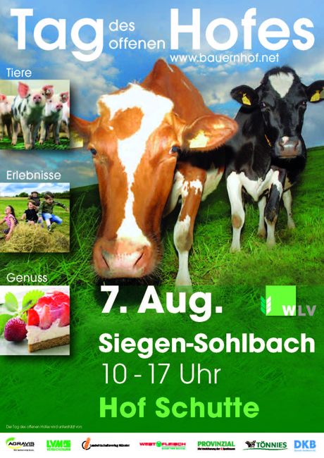 2016-08-04_Siegen_Sohlbach_Tag_Des_offenen_hofes